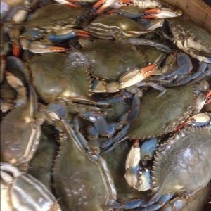 Meet your Posher, Felipe